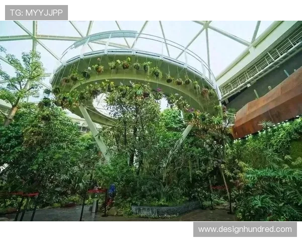 红树林娱乐：结合自然景观与娱乐设施，打造独一无二的生态旅游新体验